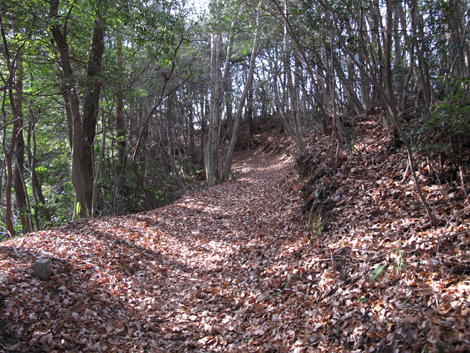 20131223hike (220)